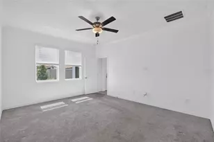 17206 Star Banks St, Wimauma, FL 33598 - Photo 24
