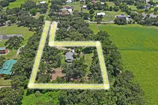 6202 Stafford Rd, Plant City, FL 33565 - Photo 52