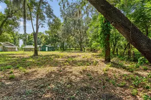 6202 Stafford Rd, Plant City, FL 33565 - Photo 28