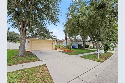 2620 Buckhorn Preserve Boulevard, Valrico, FL 33596 - Photo 2
