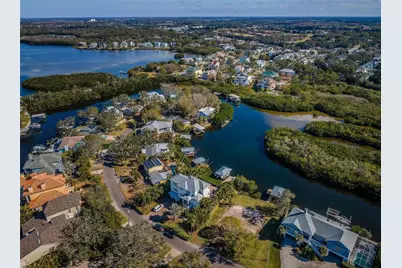 624 Mayo Street, Crystal Beach, FL 34681 - Photo 4