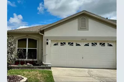 30239 Emmetts Court, Wesley Chapel, FL 33543 - Photo 30