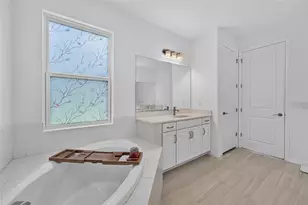 33751 Landsman Loop, Wesley Chapel, FL 33543 - Photo 28