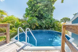 2321 Maben Ave, Palm Harbor, FL 34683 - Photo 32