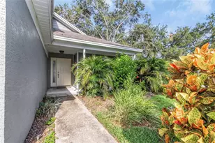 2931 Shannon Cir, Palm Harbor, FL 34684 - Photo 48