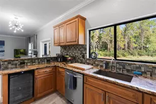 13228 Royal George Ave, Odessa, FL 33556 - Photo 38