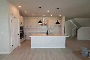 3395 Yellow Cassia Dr, Wesley Chapel, FL 33543 - Photo 10