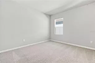 3395 Yellow Cassia Dr, Wesley Chapel, FL 33543 - Photo 20