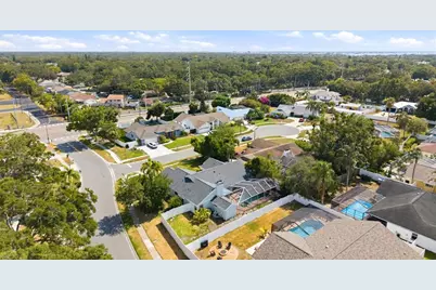 1763 Pebble Hill Court, Palm Harbor, FL 34683 - Photo 50