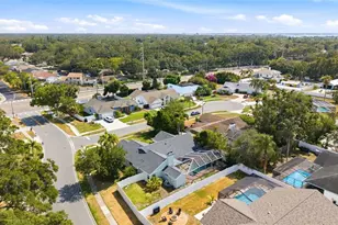 1763 Pebble Hill Ct, Palm Harbor, FL 34683 - Photo 50