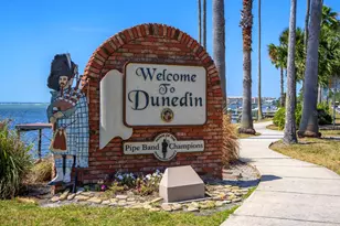 1701 Pinehurst Rd, Dunedin, FL 34698 - Photo 60