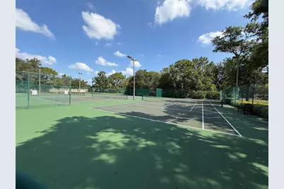 7016 Jamestown Manor Drive, Riverview, FL 33578 - Photo 58