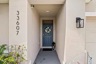 33607 Hamilton Hl Ln, Wesley Chapel, FL 33545 - Photo 2