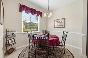 13121 Canopy Creek Dr, Tampa, FL 33625 - Photo 12