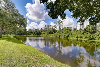 3332 Chapel Creek Circle, Wesley Chapel, FL 33544 - Photo 64