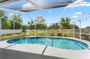 22804 Willow Lakes Dr, Lutz, FL 33549 - Photo 30