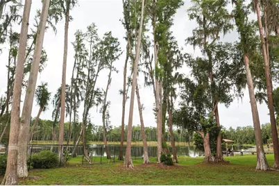 730 Crystal Lake Rd, Lutz, FL 33548 - Photo 50