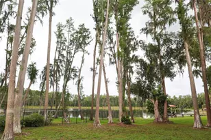 730 Crystal Lake Rd, Lutz, FL 33548 - Photo 50
