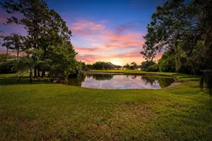 14801 Perriwinkle Pl, Tampa, FL 33625 - Photo 4
