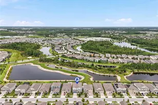 17842 Everlong Dr, Land O Lakes, FL 34638 - Photo 54