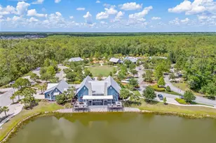 17842 Everlong Dr, Land O Lakes, FL 34638 - Photo 68