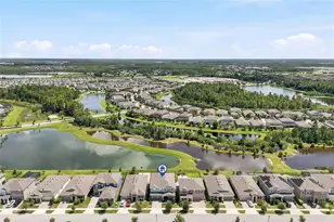 17842 Everlong Dr, Land O Lakes, FL 34638 - Photo 56