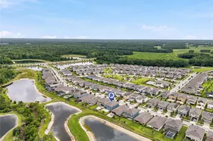 17842 Everlong Dr, Land O Lakes, FL 34638 - Photo 58