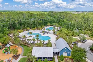 17842 Everlong Dr, Land O Lakes, FL 34638 - Photo 66