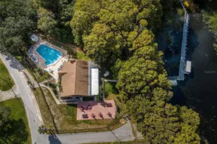 3097 Mission Grove Dr, Palm Harbor, FL 34684 - Photo 64