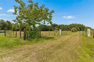 15628 Carlton Lake Rd, Wimauma, FL 33598 - Photo 6