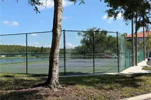 4209 Woodstorks Walk Way, Lutz, FL 33558 - Photo 30