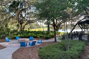 5724 Circa Fishhawk Blvd, Lithia, FL 33547 - Photo 50