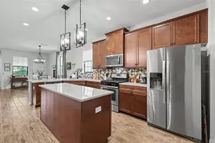 5724 Circa Fishhawk Blvd, Lithia, FL 33547 - Photo 14