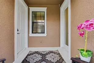 5724 Circa Fishhawk Blvd, Lithia, FL 33547 - Photo 38