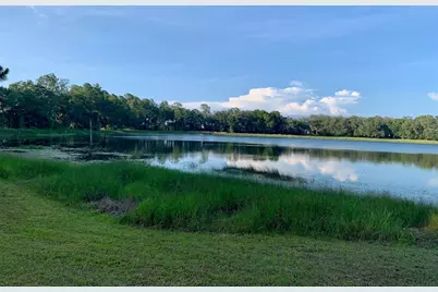 5724 Circa Fishhawk Boulevard, Lithia, FL 33547 - Photo 64