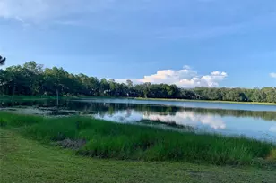 5724 Circa Fishhawk Blvd, Lithia, FL 33547 - Photo 64