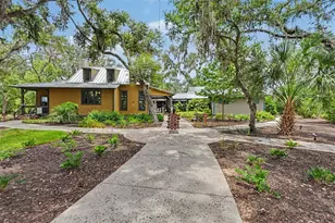 5724 Circa Fishhawk Blvd, Lithia, FL 33547 - Photo 56