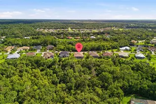 15809 31st St E, Parrish, FL 34219 - Photo 56