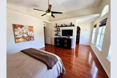 30341 Pongo Way, Wesley Chapel, FL 33545 - Photo 26