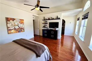 30341 Pongo Way, Wesley Chapel, FL 33545 - Photo 26