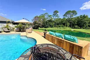 30341 Pongo Way, Wesley Chapel, FL 33545 - Photo 12