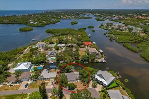 404 Laurel Ln, Palm Harbor, FL 34683 - Photo 50