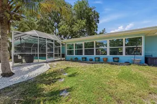 404 Laurel Ln, Palm Harbor, FL 34683 - Photo 46