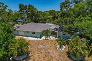 404 Laurel Ln, Palm Harbor, FL 34683 - Photo 52