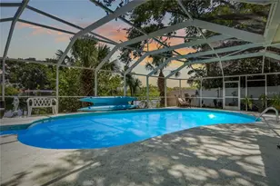 404 Laurel Ln, Palm Harbor, FL 34683 - Photo 4