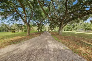 10073 Lake Meadow Rd, Apopka, FL 32703 - Photo 4