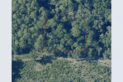7065 W Rainbow Street, Dunnellon, FL 34433 - Photo 4