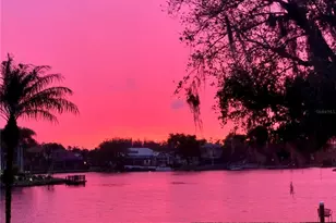 18018 Java Isle Dr, Tampa, FL 33647 - Photo 62