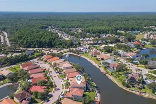 18018 Java Isle Dr, Tampa, FL 33647 - Photo 64