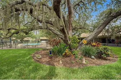 1206 Palm Drive, Tarpon Springs, FL 34689 - Photo 32